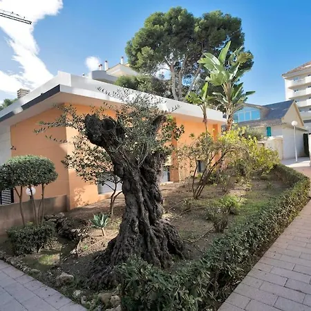 Con Terraza Y Piscina En Puerto Marina - Mistral * Benalmadena